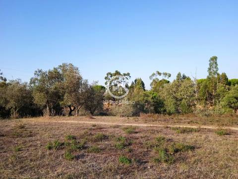 Terreno com 42.300m2 com ruína na Manteigadas em Setúbal.