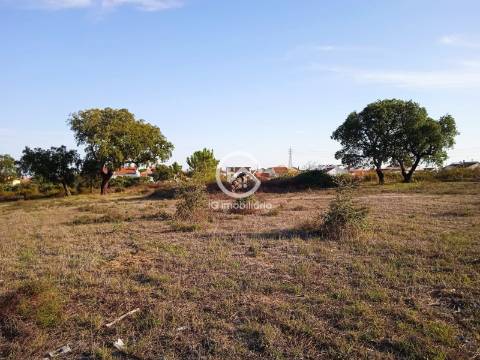 Terreno com 42.300m2 com ruína na Manteigadas em Setúbal.