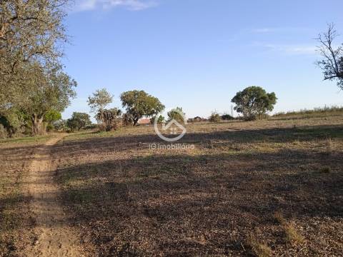 Terreno com 42.300m2 com ruína na Manteigadas em Setúbal.