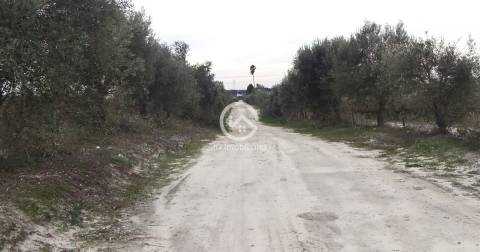 Vende se Quinta agrícola com vinhas 14,55hc.