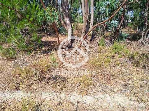 Lote de terreno em avos,  Palmela.