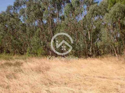 Lote de terreno em avos,  Palmela.