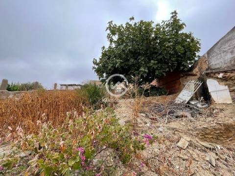 Moradia T2 com Quintal e Terreno - Corte Vicente Anes, Aljustrel