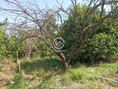 Quintinha T5 Venda em Palmela,Palmela