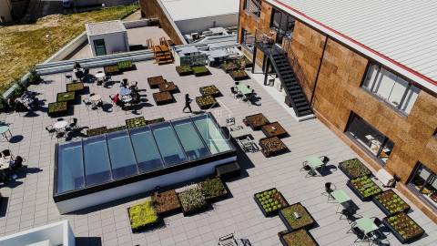 Restaurante  Trespasse em Matosinhos e Leça da Palmeira,Matosinhos