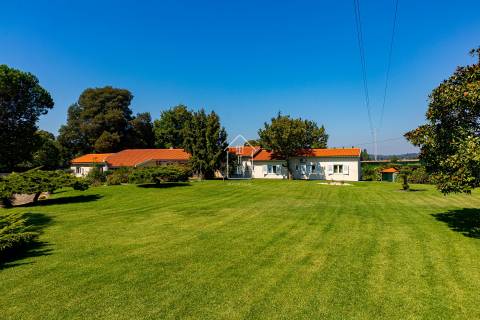 Viva o Sonho: Moradia de Luxo T4 térrea, com Piscina, Campo de Ténis, Sala de Cinema - Vila do Conde