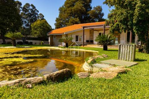 Viva o Sonho: Moradia de Luxo T4 térrea, com Piscina, Campo de Ténis, Sala de Cinema - Vila do Conde