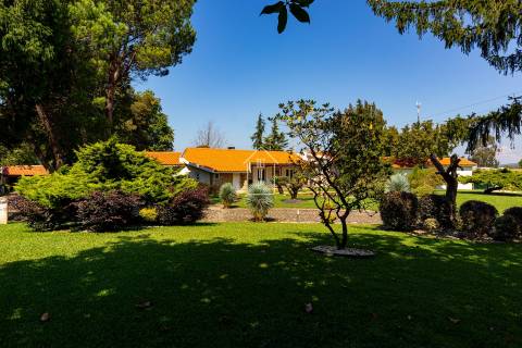 Viva o Sonho: Moradia de Luxo T4 térrea, com Piscina, Campo de Ténis, Sala de Cinema - Vila do Conde