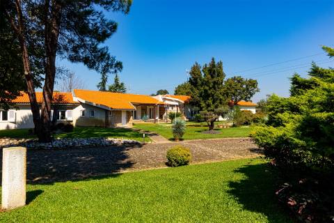 Viva o Sonho: Moradia de Luxo T4 térrea, com Piscina, Campo de Ténis, Sala de Cinema - Vila do Conde
