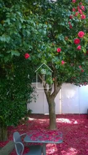 Moradia-Restaurante no Campo Alegre