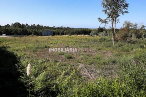 Terreno Rústico  Venda em Rio Meão,Santa Maria da Feira