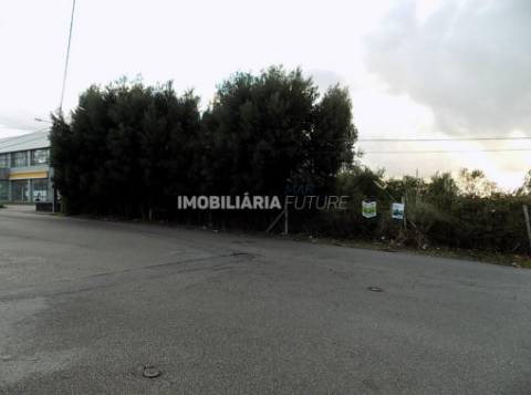 Terreno Rústico  Venda em Rio Meão,Santa Maria da Feira