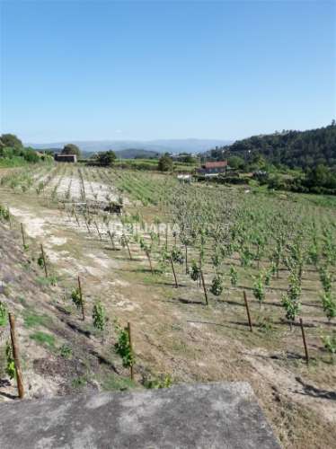 Terreno Rústico  Venda em Gove,Baião