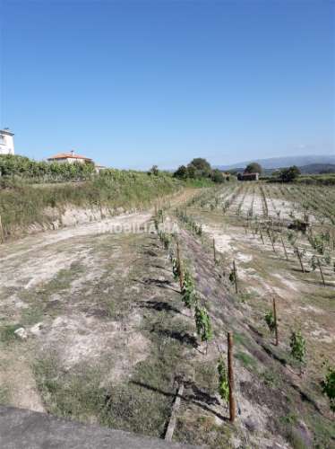 Terreno Rústico  Venda em Gove,Baião
