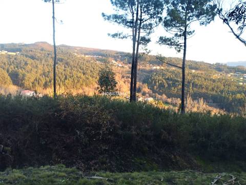 Terreno  Venda em Sande e São Lourenço,Marco de Canaveses