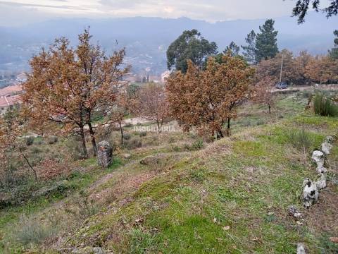 Terreno  Venda em Soalhães,Marco de Canaveses