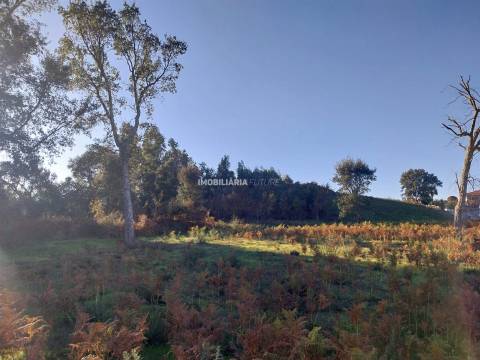 Terreno Para Construção  Venda em Vila Boa do Bispo,Marco de Canaveses
