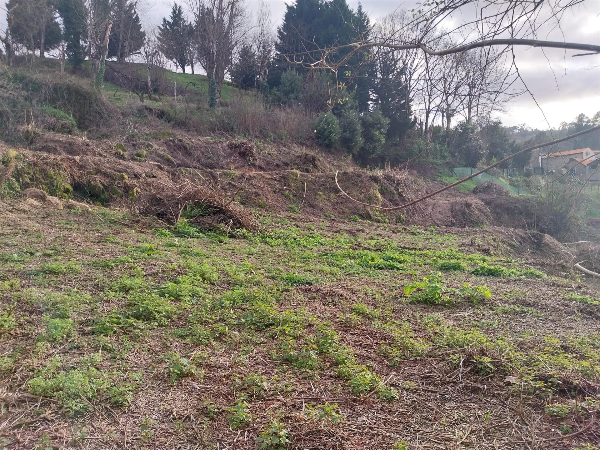 Terreno  Venda em Marco,Marco de Canaveses