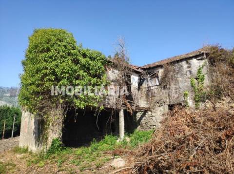 Terreno Rústico  Venda em Mansores,Arouca