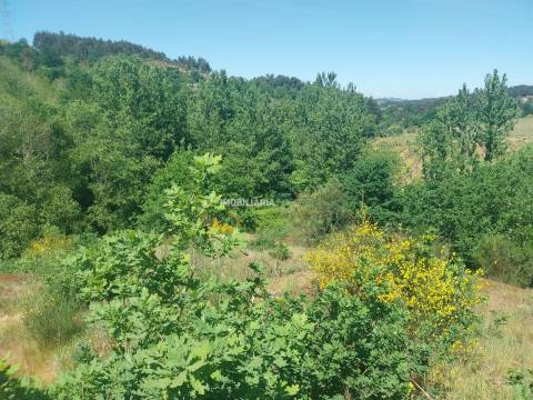 Terreno Rústico  Venda em Marco,Marco de Canaveses
