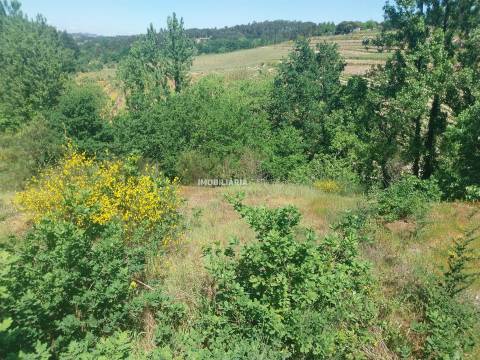 Terreno Rústico  Venda em Marco,Marco de Canaveses
