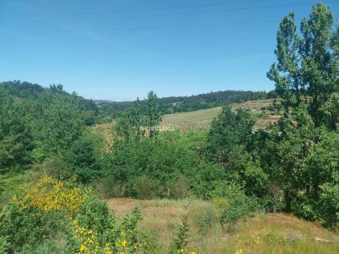 Terreno Rústico  Venda em Marco,Marco de Canaveses
