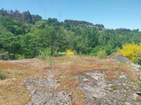 Terreno Rústico  Venda em Marco,Marco de Canaveses