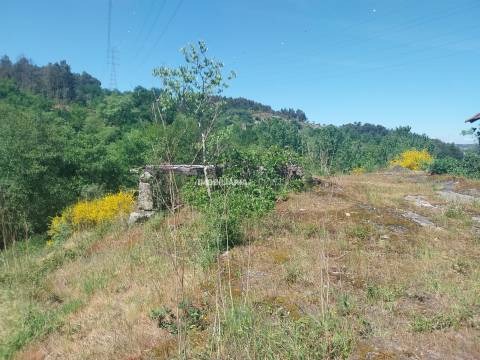 Terreno Rústico  Venda em Marco,Marco de Canaveses