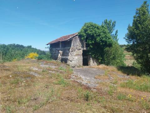 Terreno Rústico  Venda em Marco,Marco de Canaveses