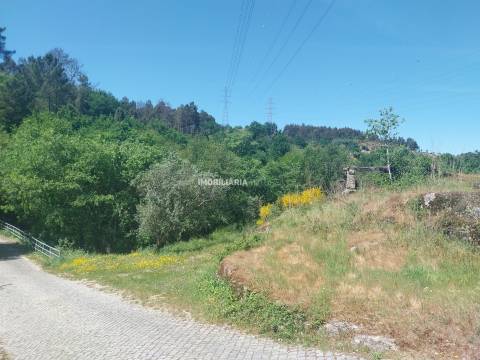 Terreno Rústico  Venda em Marco,Marco de Canaveses