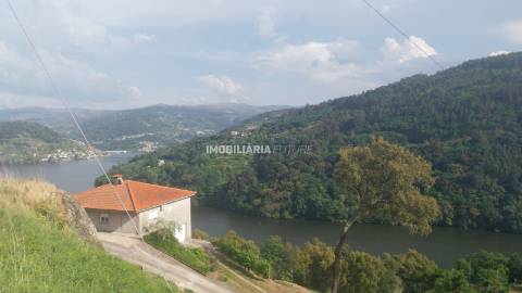 Terreno Rústico  Venda em Penhalonga e Paços de Gaiolo,Marco de Canaveses