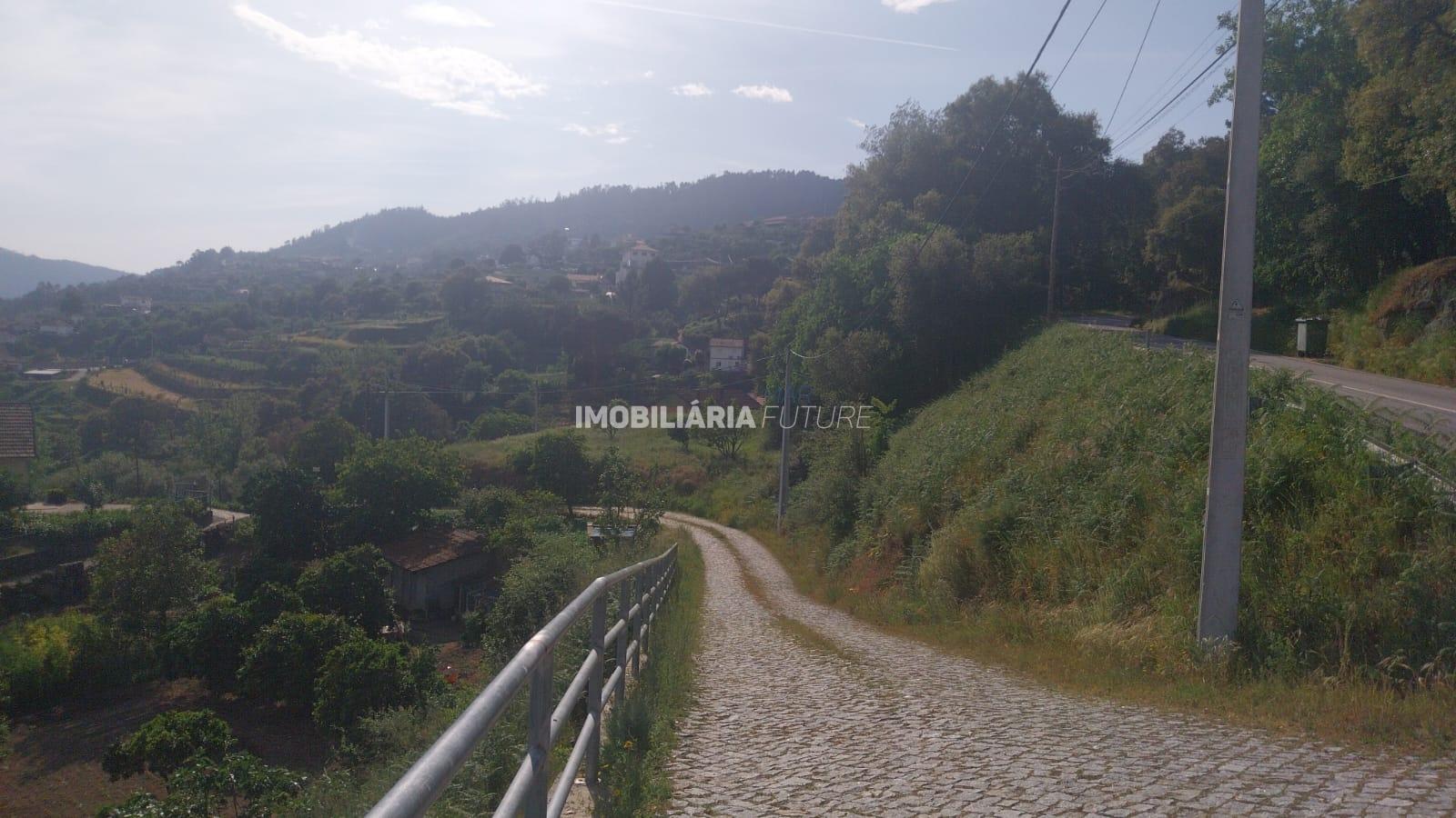 Terreno Rústico  Venda em Penhalonga e Paços de Gaiolo,Marco de Canaveses