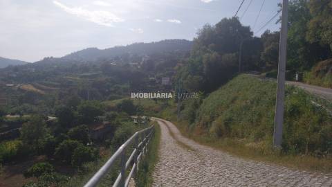 Terreno Rústico  Venda em Penhalonga e Paços de Gaiolo,Marco de Canaveses