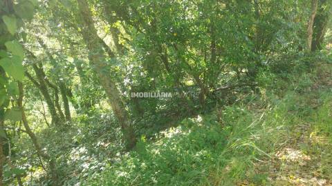 Terreno Rústico  Venda em Penhalonga e Paços de Gaiolo,Marco de Canaveses