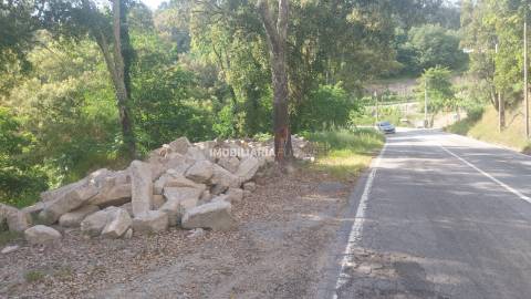 Terreno Rústico  Venda em Penhalonga e Paços de Gaiolo,Marco de Canaveses