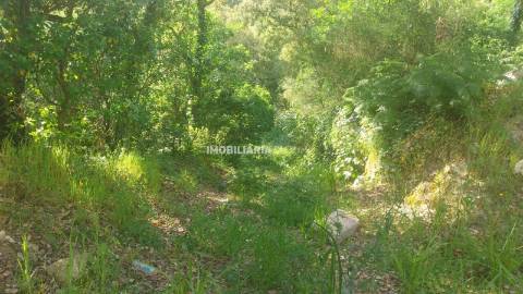 Terreno Rústico  Venda em Penhalonga e Paços de Gaiolo,Marco de Canaveses