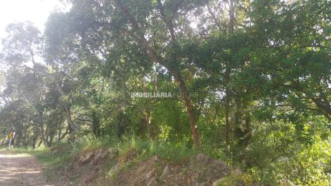 Terreno Rústico  Venda em Penhalonga e Paços de Gaiolo,Marco de Canaveses