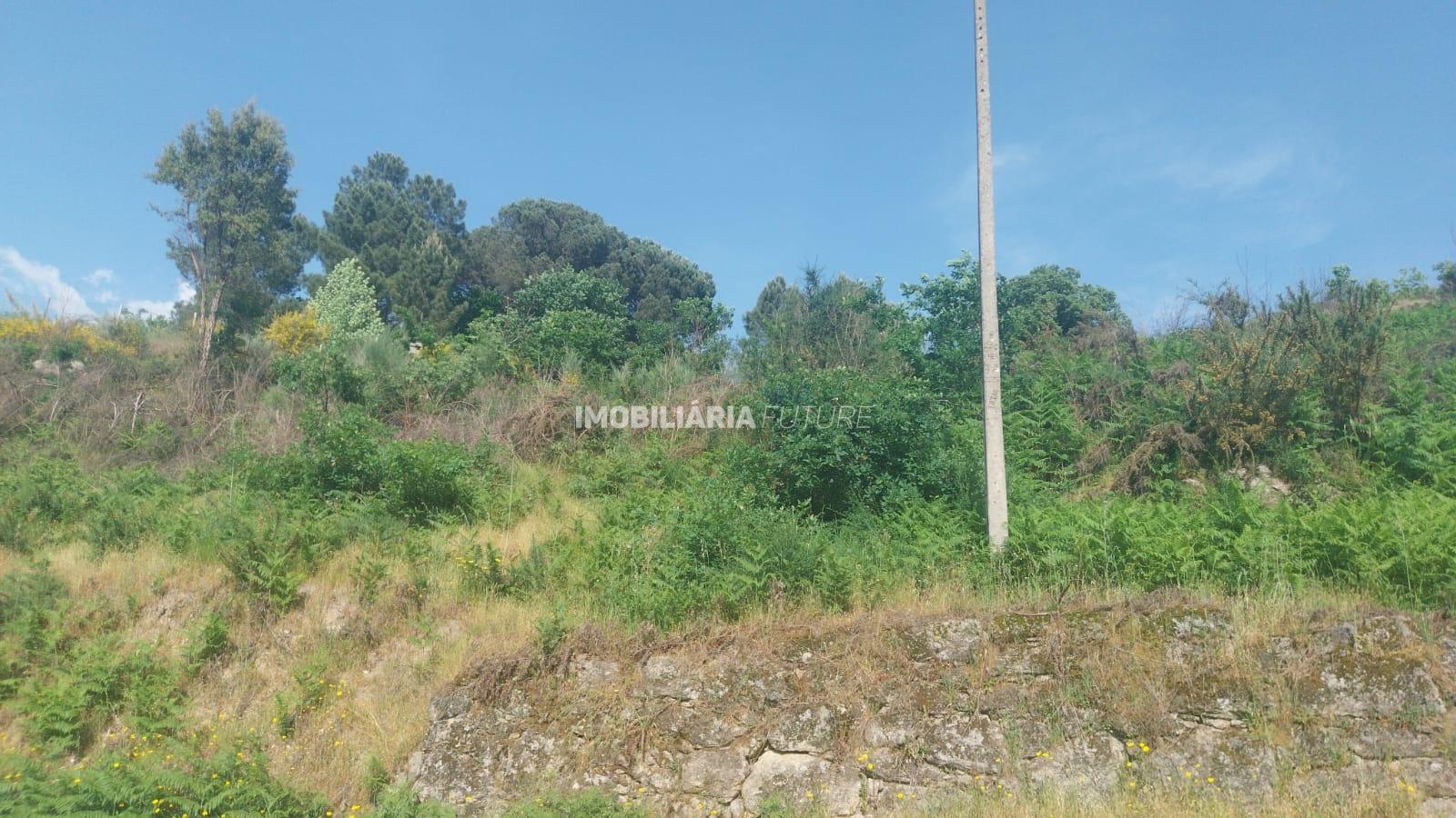 Terreno Rústico  Venda em Baião (Santa Leocádia) e Mesquinhata,Baião