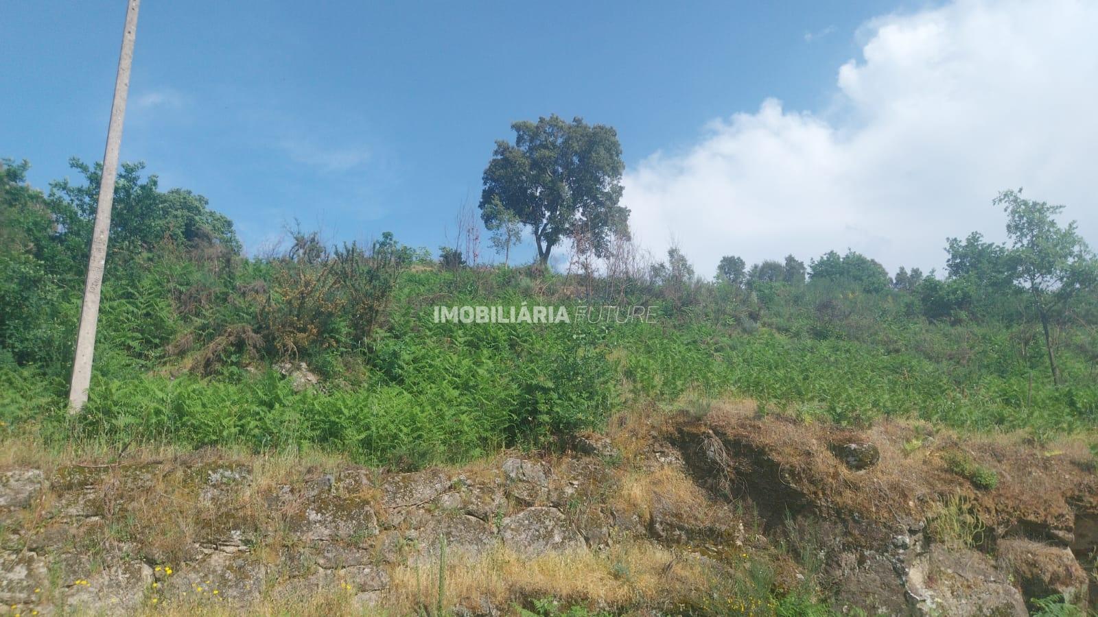 Terreno Rústico  Venda em Baião (Santa Leocádia) e Mesquinhata,Baião