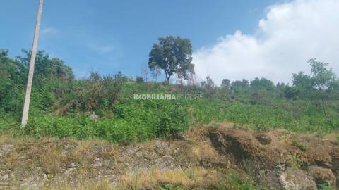 Terreno Rústico  Venda em Baião (Santa Leocádia) e Mesquinhata,Baião