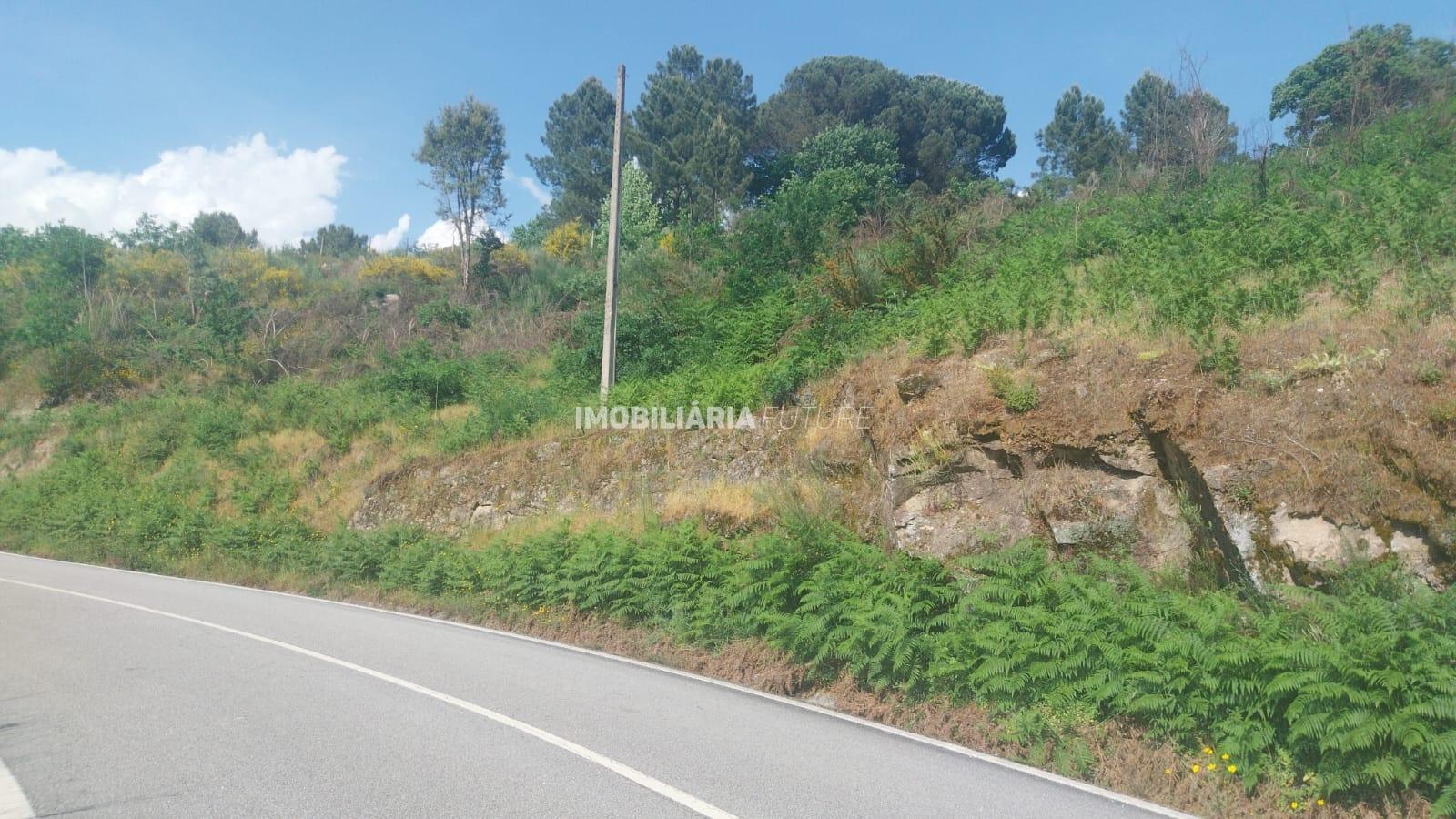 Terreno Rústico  Venda em Baião (Santa Leocádia) e Mesquinhata,Baião