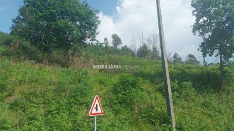 Terreno Rústico  Venda em Baião (Santa Leocádia) e Mesquinhata,Baião