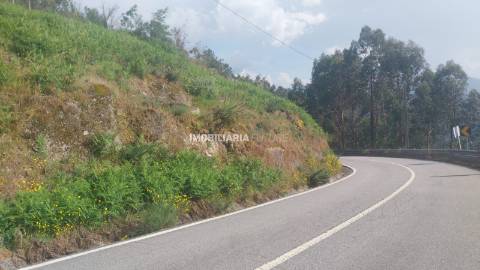 Terreno Rústico  Venda em Baião (Santa Leocádia) e Mesquinhata,Baião