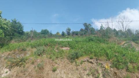 Terreno Rústico  Venda em Baião (Santa Leocádia) e Mesquinhata,Baião
