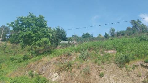 Terreno Rústico  Venda em Baião (Santa Leocádia) e Mesquinhata,Baião