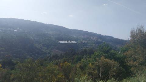 Terreno Rústico  Venda em Baião (Santa Leocádia) e Mesquinhata,Baião