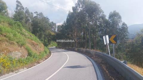 Terreno Rústico  Venda em Baião (Santa Leocádia) e Mesquinhata,Baião