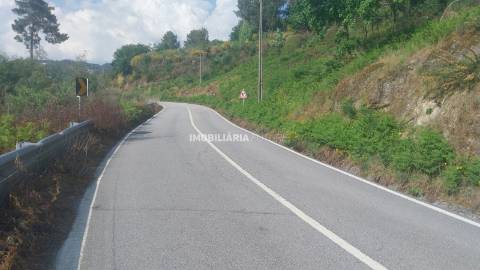 Terreno Rústico  Venda em Baião (Santa Leocádia) e Mesquinhata,Baião