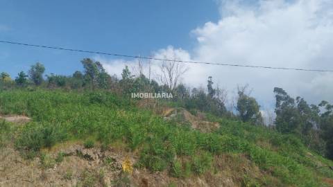 Terreno Rústico  Venda em Baião (Santa Leocádia) e Mesquinhata,Baião