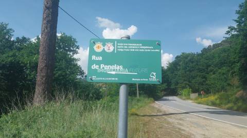 Terreno Rústico  Venda em Baião (Santa Leocádia) e Mesquinhata,Baião